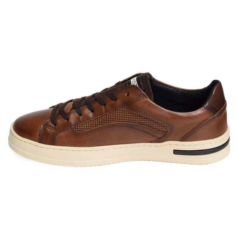 XATIVA 6307 Camel, Sneakers basses Pikolinos