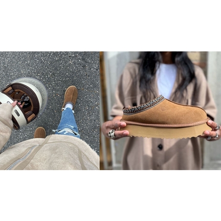 K41219 Camel, Mules Kelara