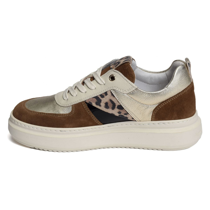 05373 Camel Or, Sneakers basses NeroGiardini