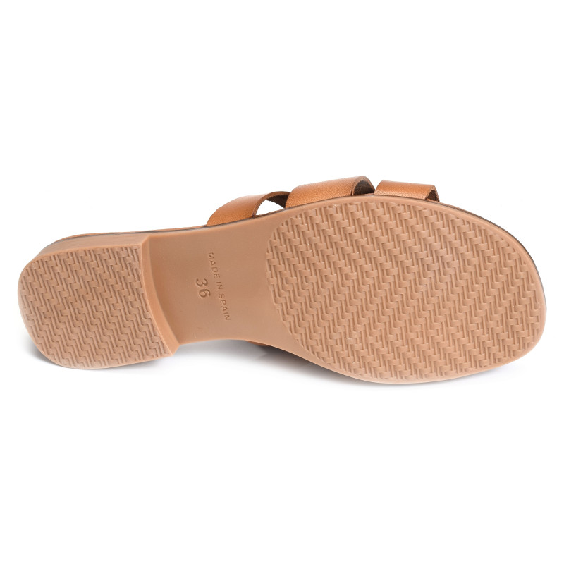 3064 Camel, Mules Eva Frutos