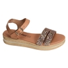  14063 Multicolore