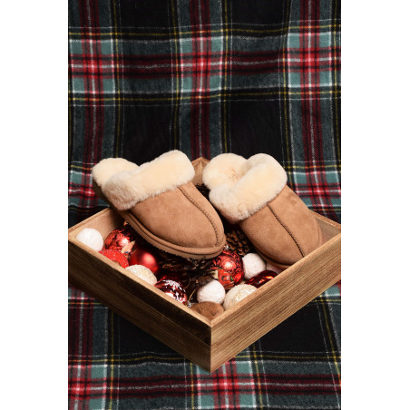 LUGE Chestnut, Mules Sweet Heritage