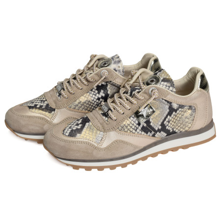 C848 W Serpent, Baskets running Cetti
