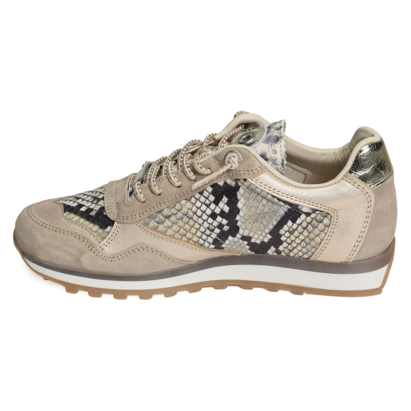 C848 W Serpent, Baskets running Cetti