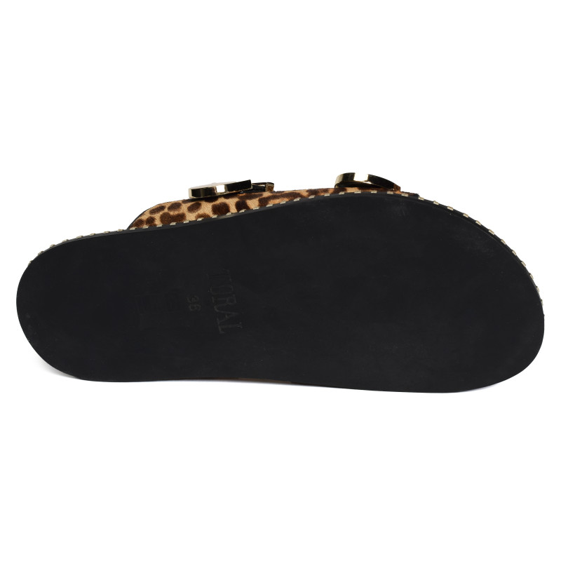 HIDRA Léopard, Mules Toral