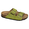  AMALIA 263 Vert