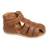  PARVEL Camel