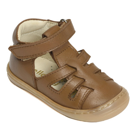 CESAR Marron, Babies Bellamy