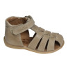  PARVEL Taupe