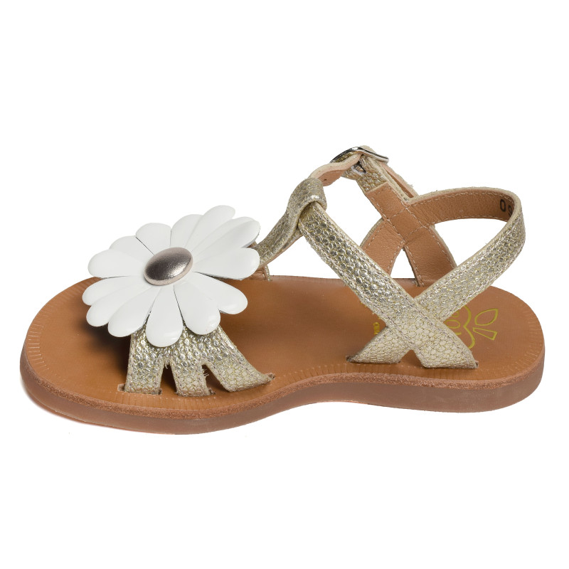 PLAGETTE BIG FLO Platine, Sandales plates & Nu-Pieds Pom d'Api