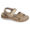  1307 Beige Platine