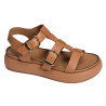  A96046 Marron