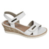  R6266 Blanc
