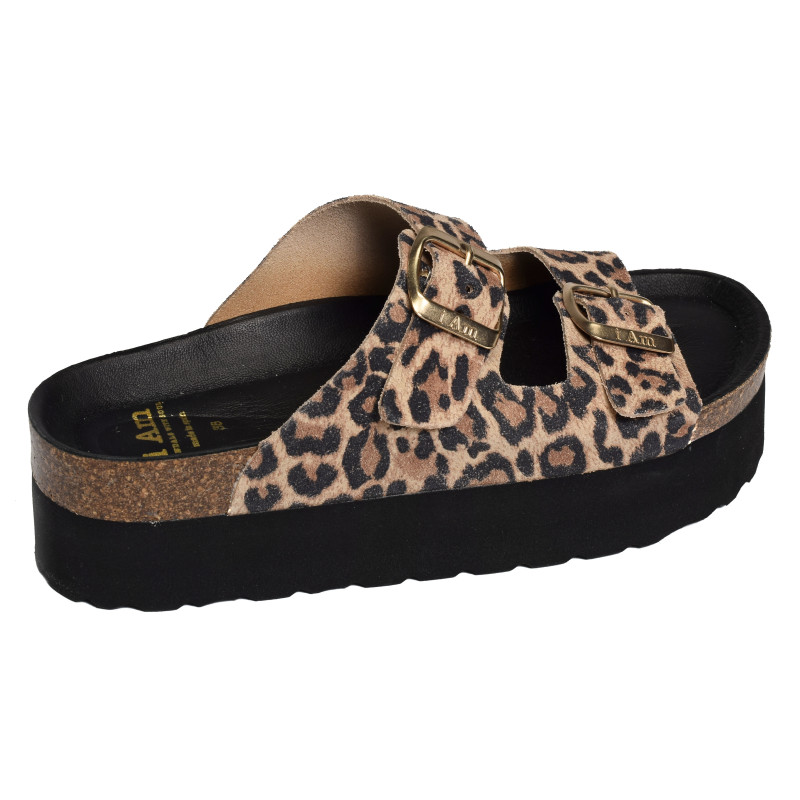6019 Léopard, Mules I Am