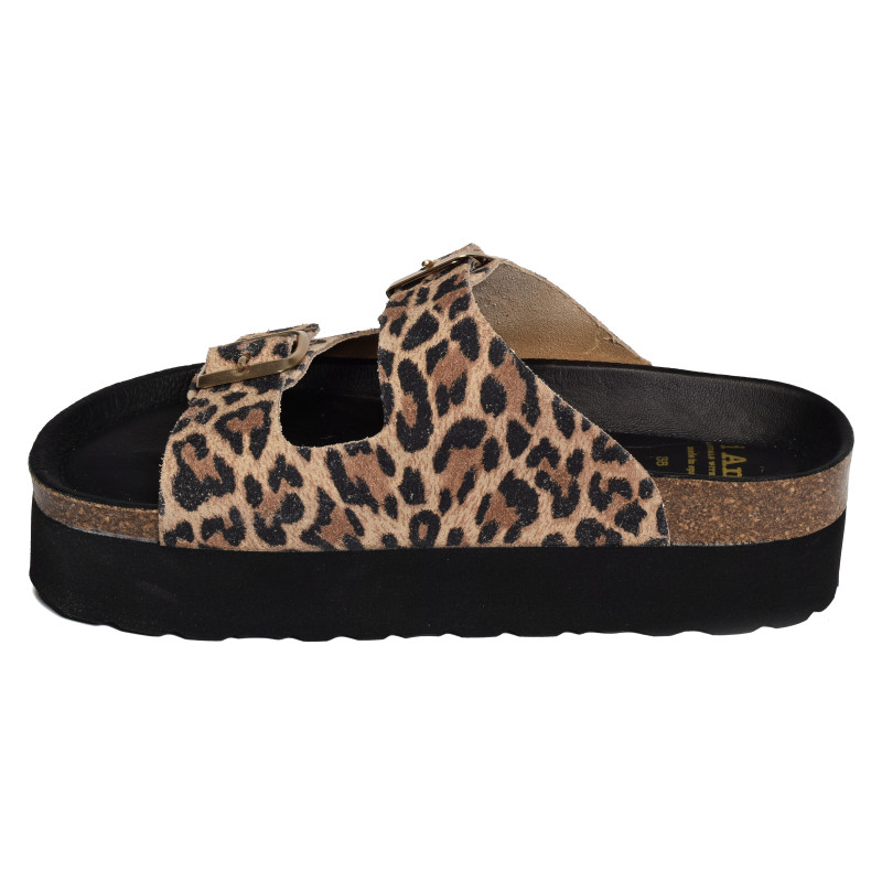 6019 Léopard, Mules I Am