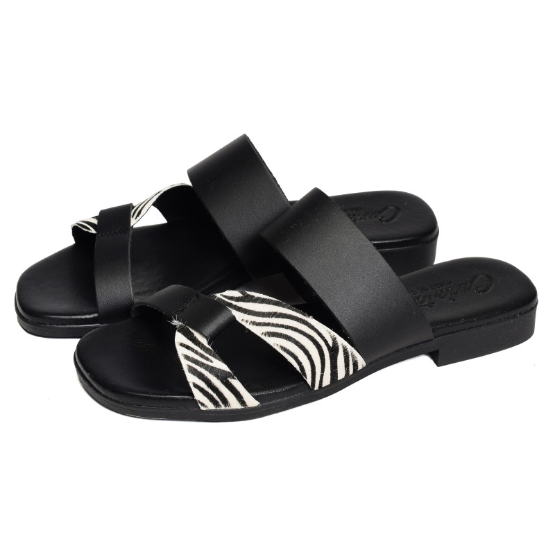 10608 Zèbre, Mules Carla Tortosa