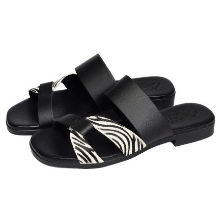 10608 Zèbre, Mules Carla Tortosa