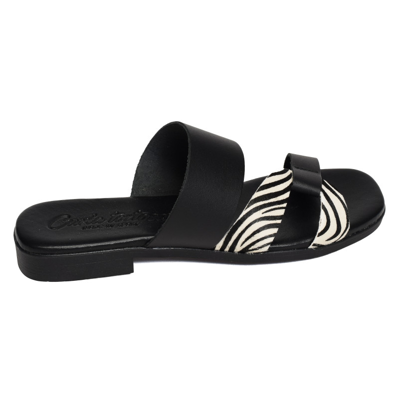 10608 Zèbre, Mules Carla Tortosa