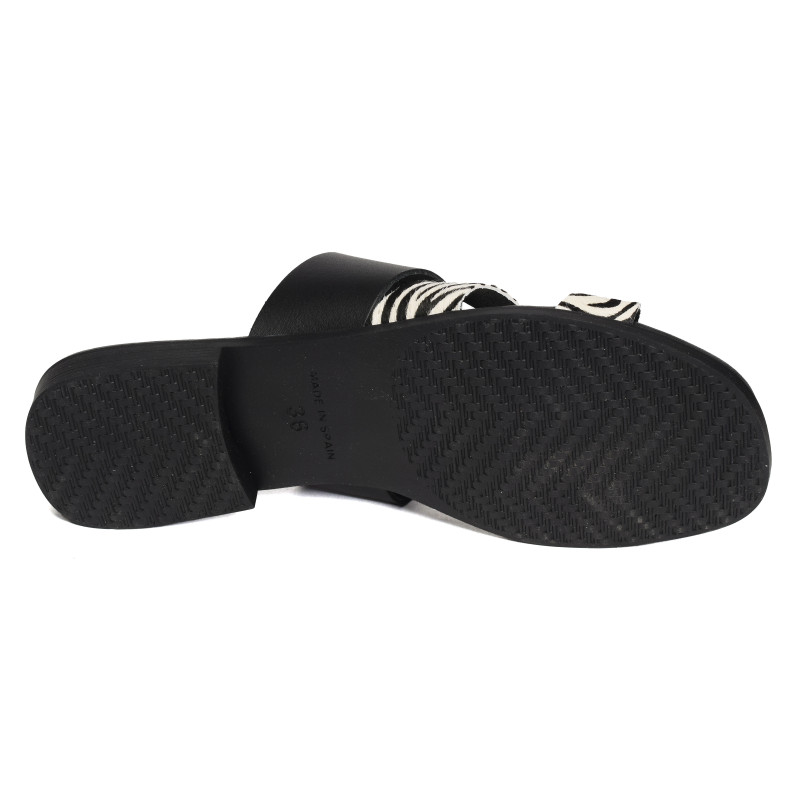 10608 Zèbre, Mules Carla Tortosa