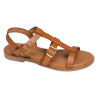  11616 Camel