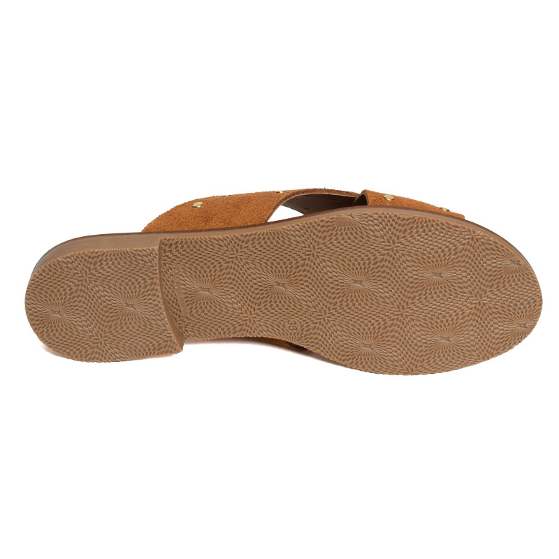 11658 Camel, Mules Carla Tortosa