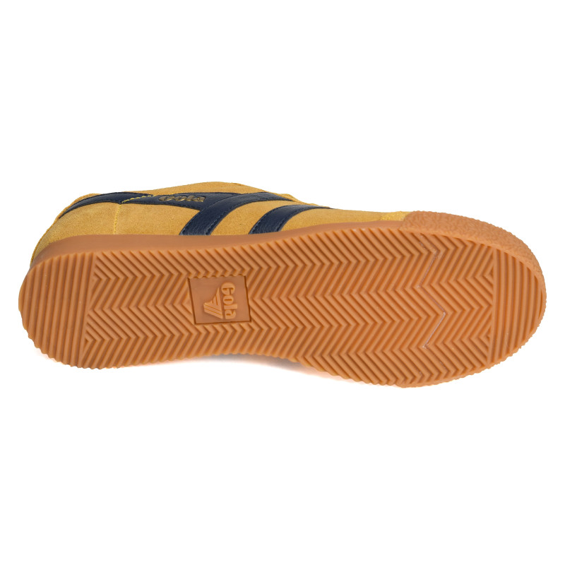 HARRIER SUEDE TRAINERS Jaune Marine, Sneakers basses Gola