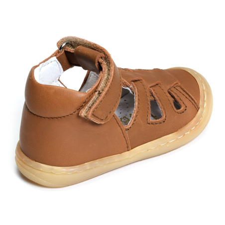 LOPP Camel, Babies Bellamy