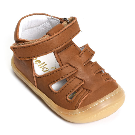 LOPP Camel, Babies Bellamy