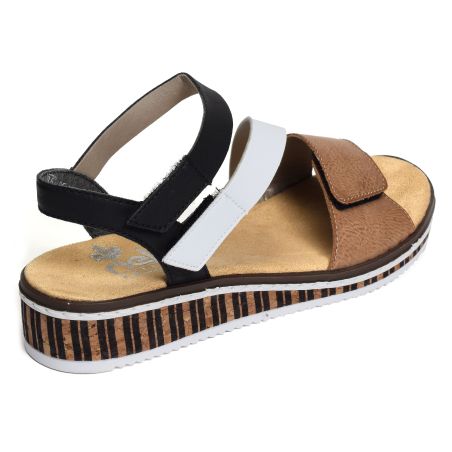  V3670 Blanc Marron
