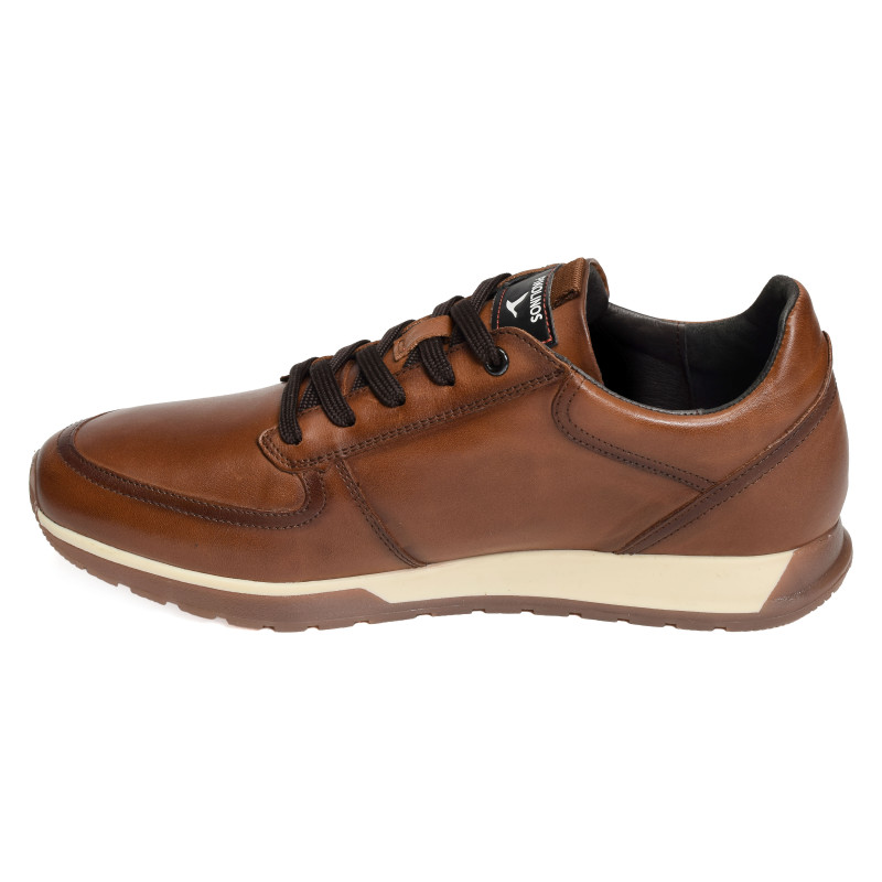 CAMBIL 6362 Camel, Sneakers basses Pikolinos