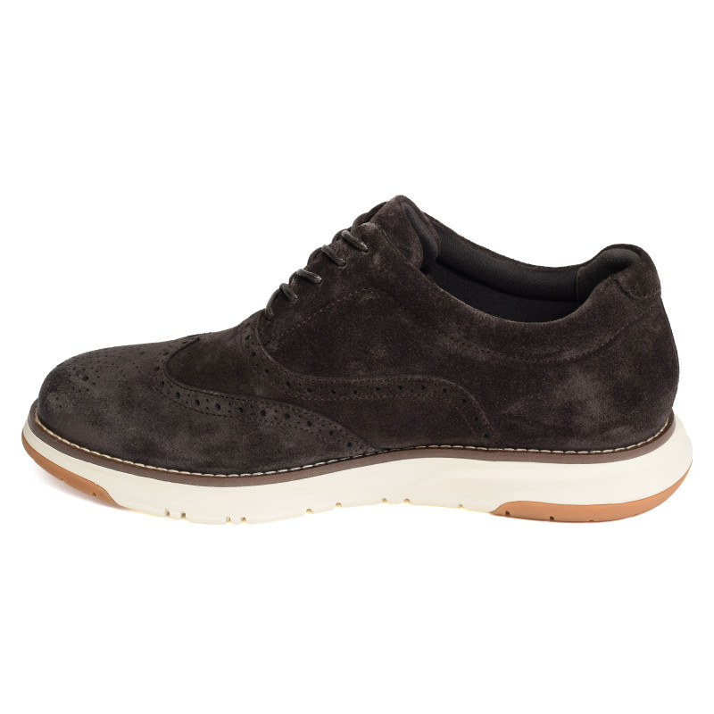 ECHO II BROGUE Marron Foncé, Derbies Schmoove