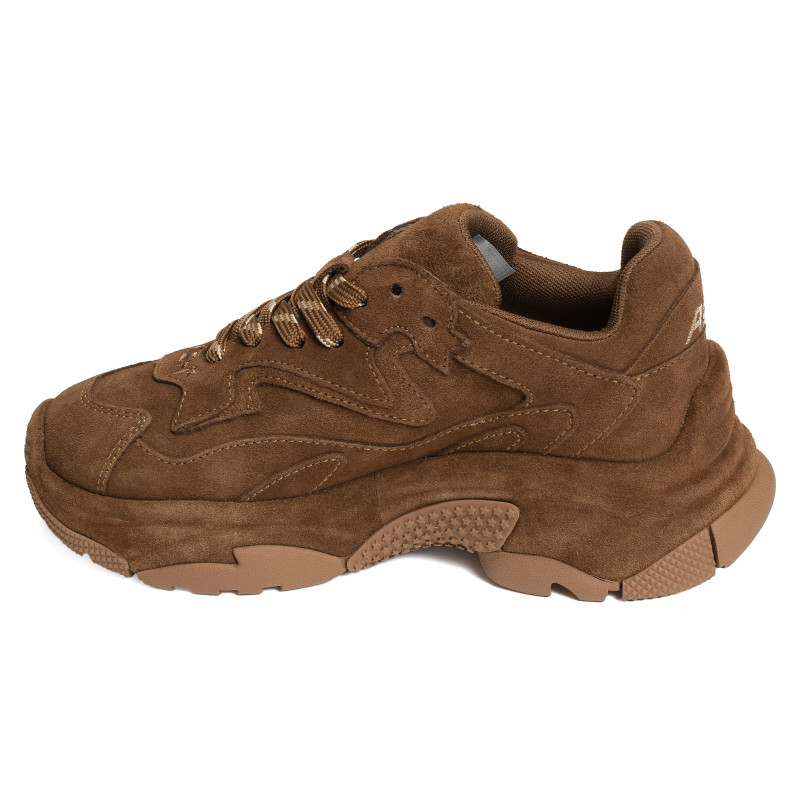 ADDICT BIS Marron, Sneakers basses Ash
