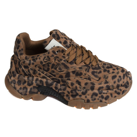 ADDICT BIS Léopard, Sneakers basses Ash