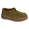  TORHILL BEE Olive