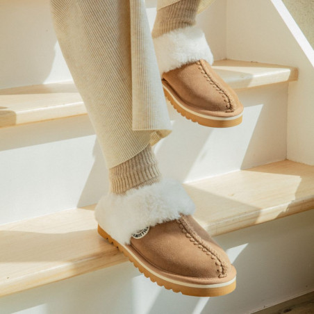 BOULD CLOG W Camel, Mules Armistice