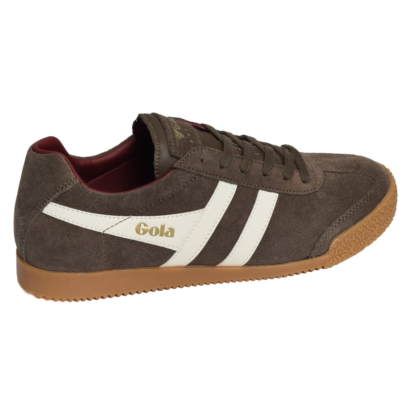 HARRIER SUEDE TRAINERS Marron Blanc, Sneakers basses Gola