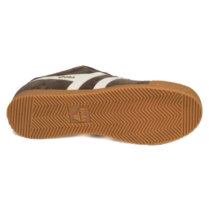 HARRIER SUEDE TRAINERS Marron Blanc, Sneakers basses Gola