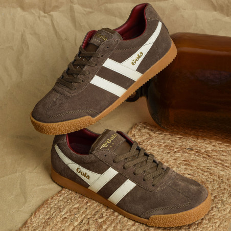 HARRIER SUEDE TRAINERS Marron Blanc, Sneakers basses Gola