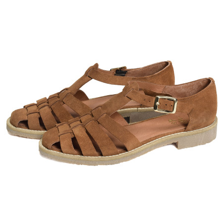 45255AA Camel, Babies We Do