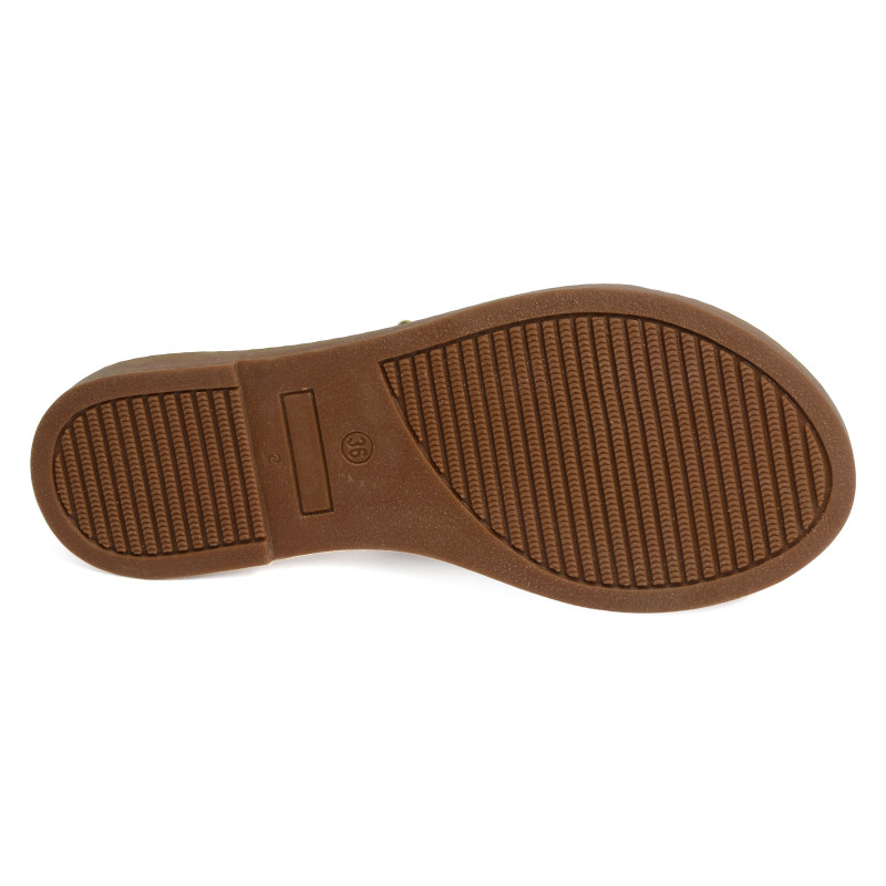 CERDENA 5609 Vache, Mules Alpe