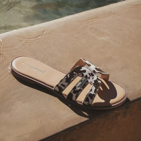 HAMIGAPO Vache, Mules Les Tropéziennes