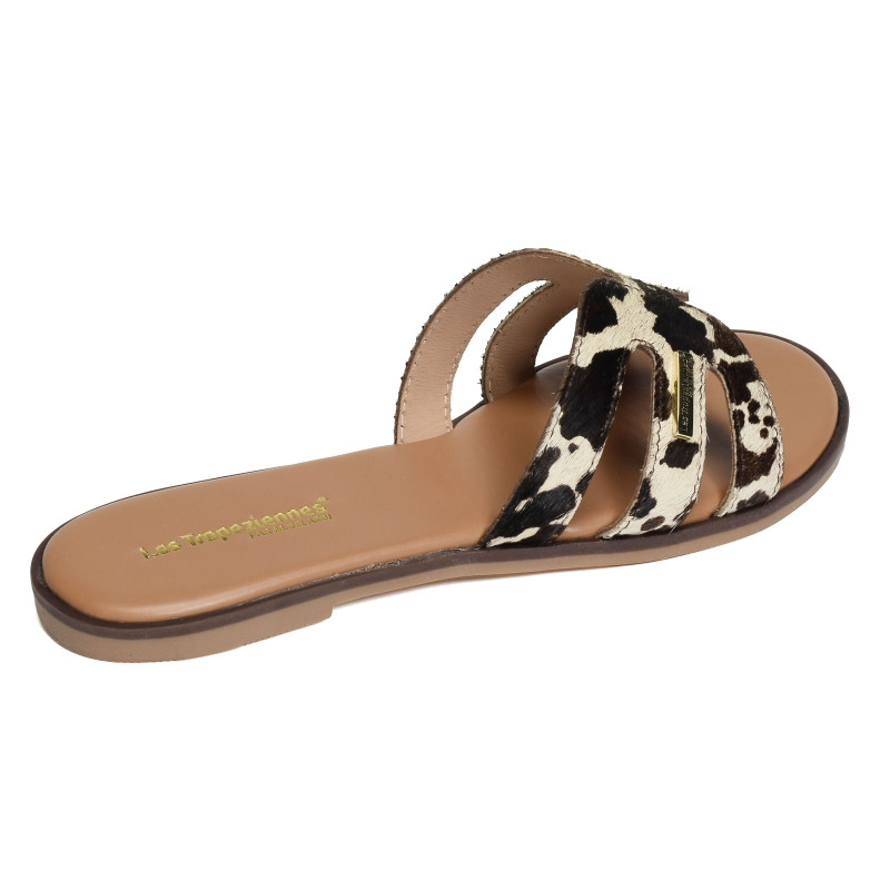 HAMIGAPO Vache, Mules Les Tropéziennes