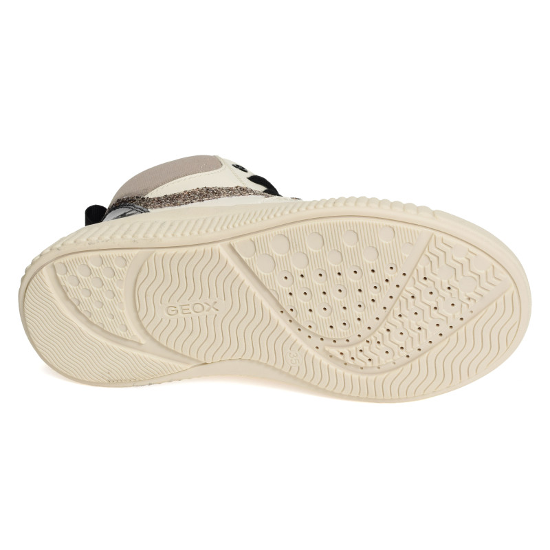 J LAQUINNY D Ivoire, Baskets montantes Geox