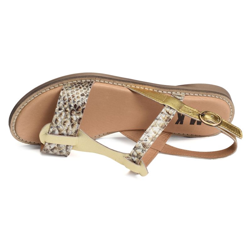  ADONIS Python