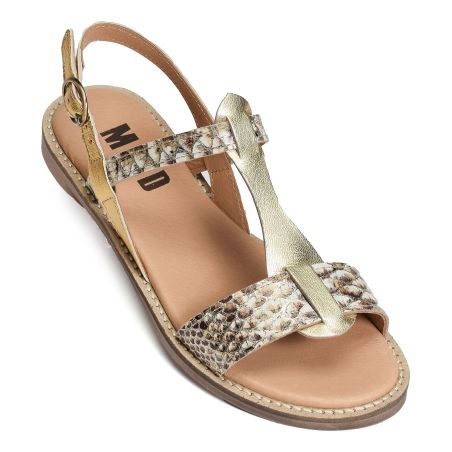  ADONIS Python