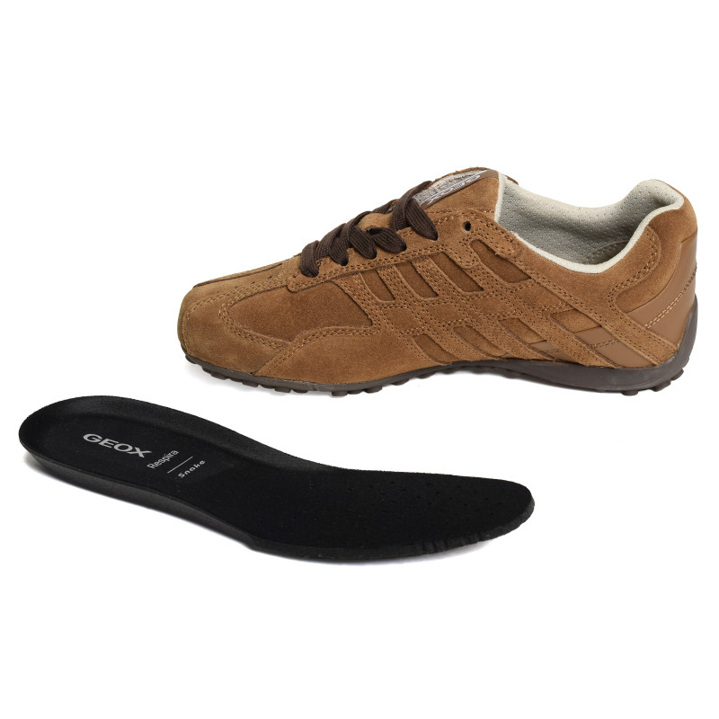 D SNAKE A Noisette, Sneakers basses Geox