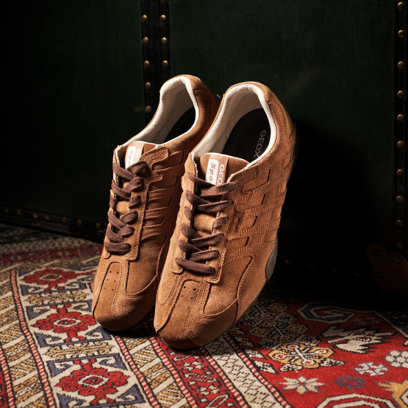 D SNAKE A Noisette, Sneakers basses Geox