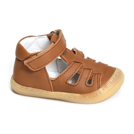  LOPP Camel