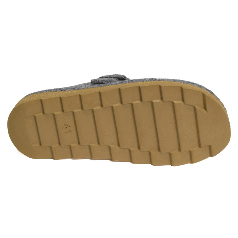 7102 Gris, Mules Rohde