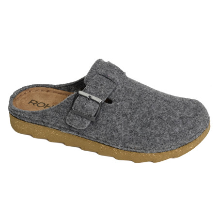 7102 Gris, Mules Rohde